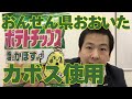 ポテトチップス塩とかぼす味食べてみた！【おんせん県おおいた産かぼす使用】
