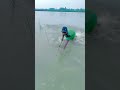 Incredible Push Net Fishing at the Riverbank#shaplafishing