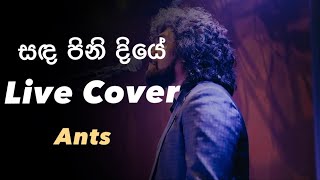 Video thumbnail of "sanda pinidiye සඳ පිනිදියේ Live cover at a wedding. Ants Band Srilanka"