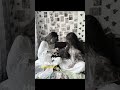✿︎ 𝐌𝐞 𝐚𝐟𝐭𝐞𝐫 𝐭𝐞𝐚𝐬𝐢𝐧𝐠 𝐡𝐞𝐫 𝐚𝐥𝐥 𝐝𝐚𝐲 ✿︎