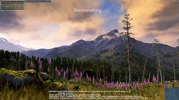 [LinuxBenchMark] Unigine Valley  | Wine-Staging  2.21 | Gallium-Nine | Mesa 17.3.1 | AMDGPU RadeonSI