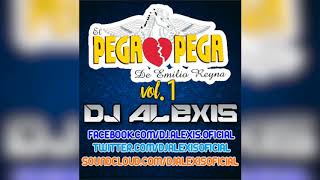 El Pega Pega ( CUMBIAS MIX Vol.1 ) - DJ Alexis