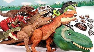 50 Tyrannosaurus Dinosaur Box - Jurassic World, Walking Dino, Anatomy Set