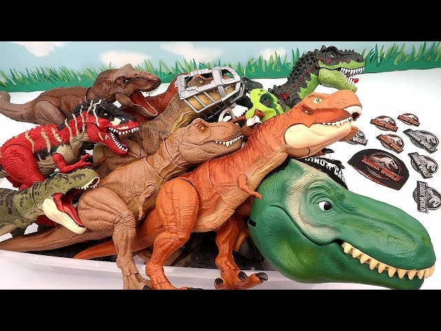 50 Tyrannosaurus Dinosaur Box - Jurassic World, Walking Dino, Anatomy Set class=