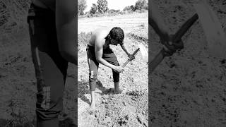 deshi boy vilage ka 🌴🌴🌴🌴🌴🌴🌴🌴🌴 #farmer #punjabi #hariyana #punjabisong