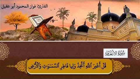 سورة الأنعام ج٧صفحة 129بصوت القارئ فواز المحمود أبو عقيل🎤