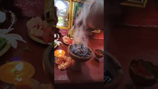 Natural Doopasambrani