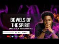 Praiz Singz - Bowels of the Spirit | 1 hour Meditation Instrumental | Prayer Instrumentals | Chants