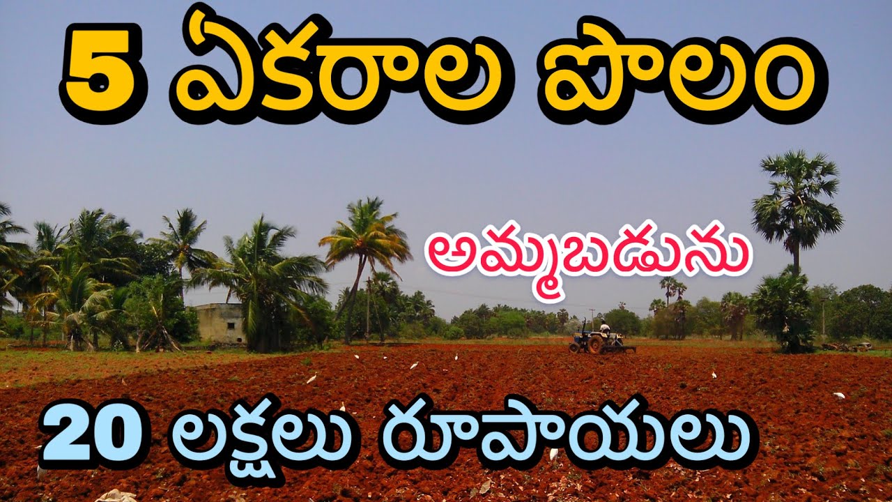 5 Accres agriculture land sale ￼ USA వెళ్ళే ముందు ఈ పని చేశాం | 5 ఎకరాలు భూమి అమ్మకం