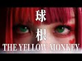 球根 / THE YELLOW MONKEY|Metal Cover Kanon Sisters【MV】