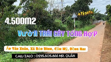 ✅ Bán 4.500m2 Vườn Trái Cây Tổng Hợp Đất Đỏ Bazzan Tại Xã Bảo Bình, Huyện Cẩm Mỹ - Đồng Nai