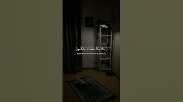 القران الكريم القارئ عبدالرحمن مسعد