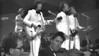 THE HOLLIES   Stewball 1969 chords