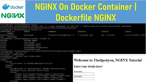 NGINX On Docker Container | Dockerfile NGINX | NGINX Docker Tutorial | Thetips4you