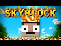 Early stream POG | Hypixel SkyBlock Hardcore