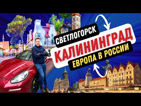 Калининград, Светлогорск, Зеленоградск: Европа в России без визы | Почему стоит ехать?
