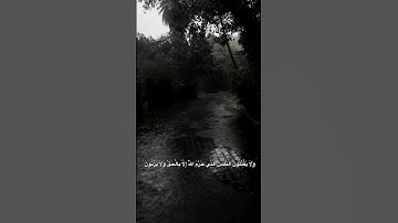 اكتب شيء تؤجر عليه  #قرآن #اكسبلور #المصحف #سورة_الفرقان #ابراهيم_ادريس #راحة_نفسية #quran 