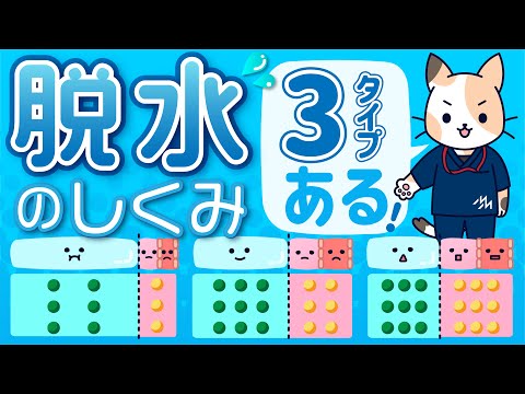 脱水のしくみ　3タイプを解説！　～水欠乏性脱水／Na欠乏性脱水／等張性脱水～