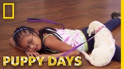 Puppy Days Youtube