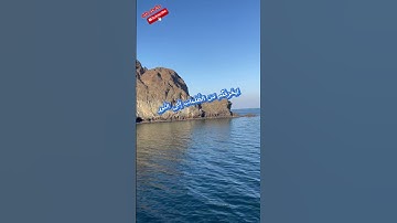 ❤️تلاوه عطره مباركه للشيخ بدر التركي من سورة الأحزاب ❤️