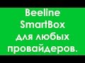 Настройка роутера Beeline SmartBox для других провайдеров