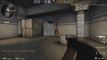 POV - Pimp from Western Wolves vs NiP in RaidCall EMS One Summer 2013 Cup #2