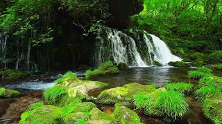 Breathtaking waterfalls and gentle river sounds [study, work, sleep, meditation, relaxation, ASMR]