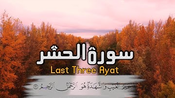 تلاوة خاشعة: آخر ثلاث آيات من سورة الحشر | Surah Hashr | Haq TV