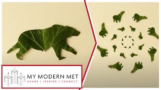 Bear and Leaf Animations by Benoît Leva