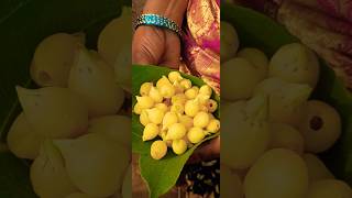 Vippa Puvvu వపప పవవ Food Puvvu Flower