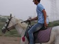 Beautiful Horse Riding By Aks Abbas | #horse #horseriding #horse_club_uqaab