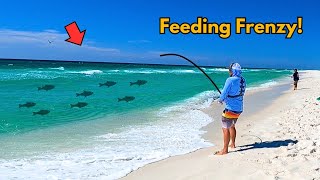 Beach Blitz in Crystal Clear Water! (Fish Everywhere)