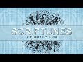 Scriptunes Song-13 2 Timothy 3:16