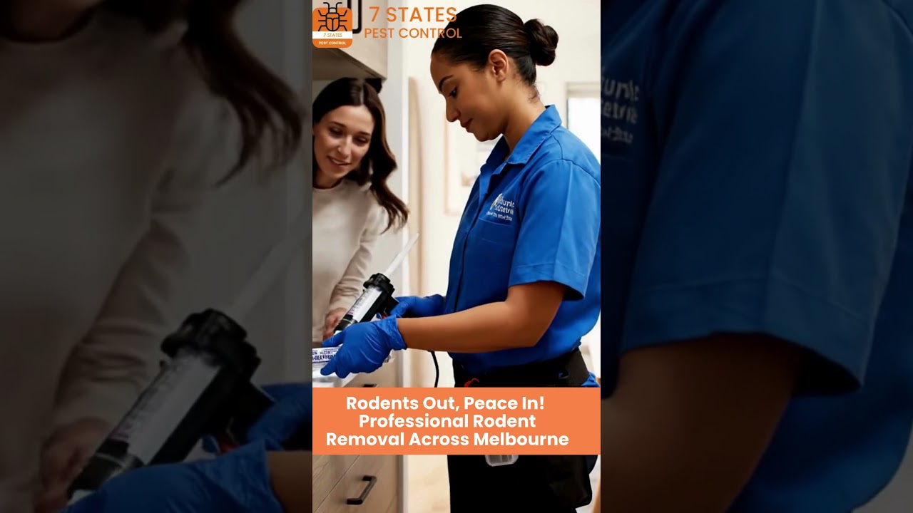 Rodent Pest Control Melbourne – Safe & Effective Rat and Mice Removal