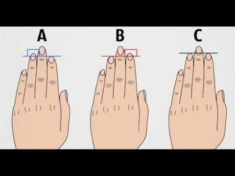Video: El atractivo masculino está determinado por la longitud de los dedos