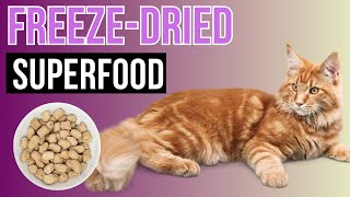 Freeze Dried food and treats for cats  Healthy & Tasty!