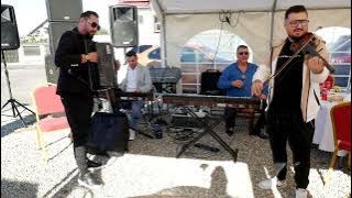 George Nicoloiu urca oile la munte #live