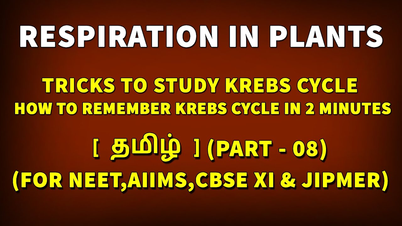 Tricks to Study Krebs Cycle Respiration in Plants in