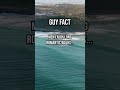 Fact 92 just for fun  facts funny guys