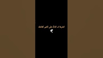 ما أجمل القرآن الكريم 🖤🦋 #quran #اكسبلور #اول_فيديو #فلسطين #shortvideo #Bilal_X77