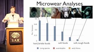 What's Cooking?: The Meat and Potatoes of Human Evolution