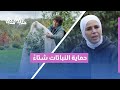 لا تقتل نبتتك في الشتاء! متى التقليم ومتى التغطية؟