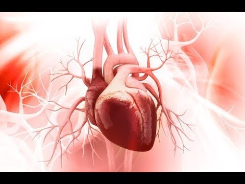 Video: 3 manieren om hartaandoeningen te voorkomen