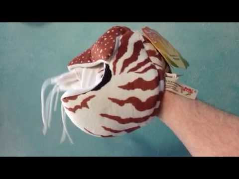 Folkmanis Nautilus Hand puppet - YouTube