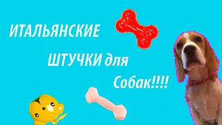 ИТАЛЬЯНСКИЕ штучки для собак от Lady Bleinheim ИТАЛЬЯНСКИЕ штучки для собак от Lady Bleinheim