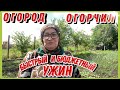 Огород огорчил и обрадовал / быстрый бюджетный ужин(Ифтар) /