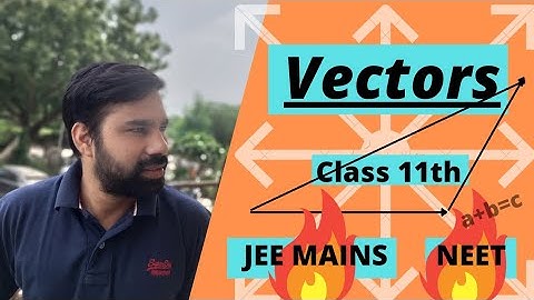 vector class 11 | physics | most important questions for the neet , jee