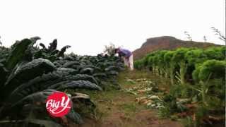 USDA Certified Organic Produce