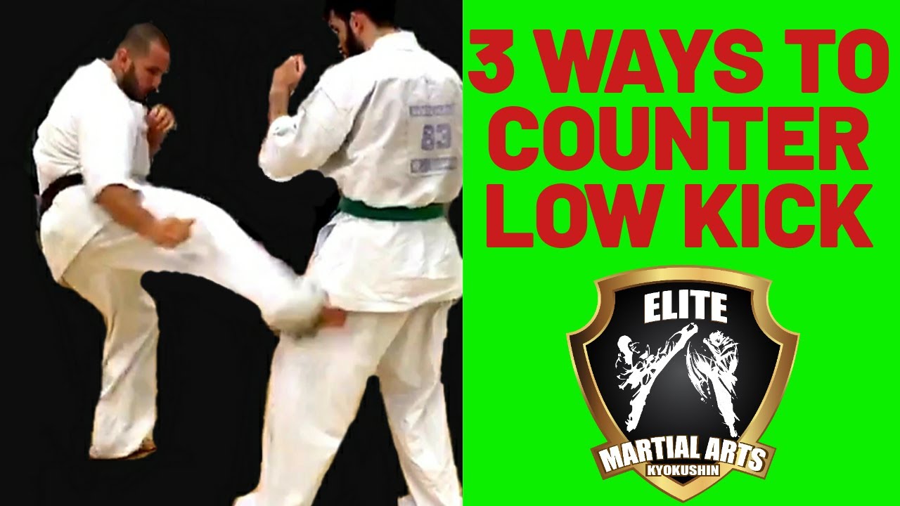 How to DEFEND LOW KICK & COUNTER combination in KYOKUSHIN Karate YouTube