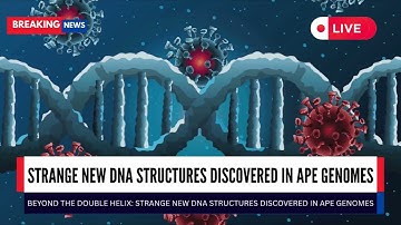 Strange new dna structures discovered in ape genomes